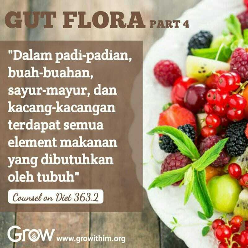 Seri Kesehatan — Gut Flora Part 4