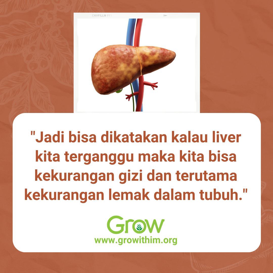 Liver (Bagian 2) – Fungsi Liver (Bagian 1) – Mencerna Makanan